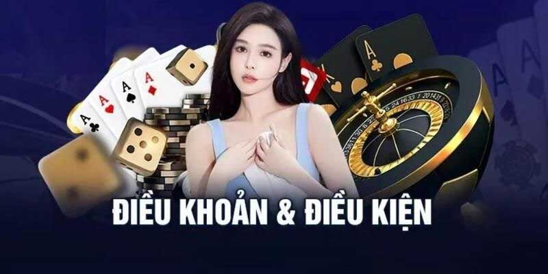Chi tiết điều khoản và điều kiện Net88